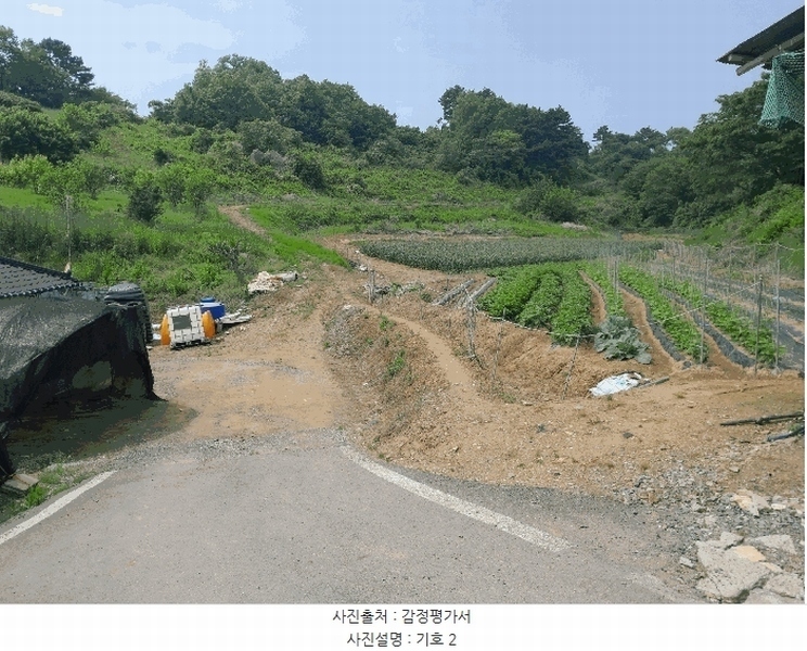 2025타경51343 충청남도 당진시 대호지면 조금리 447 농지 경매 이미지