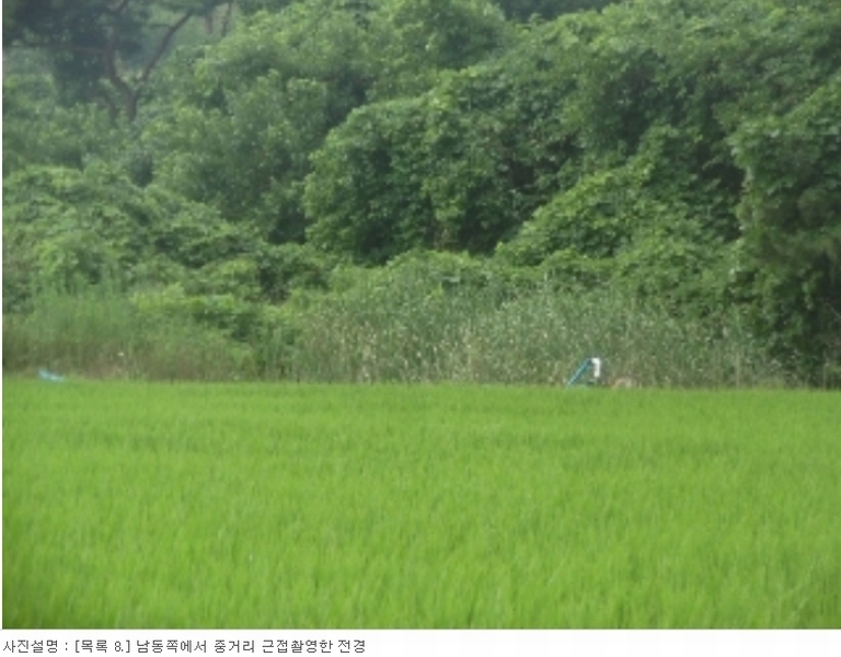 2023타경54059 충청남도 서산시 대산읍 대로리 876-45 농지 경매 이미지