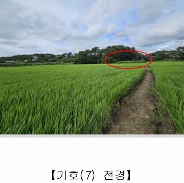 2023타경54059 충청남도 서산시 대산읍 대로리 876-45 농지 경매 이미지