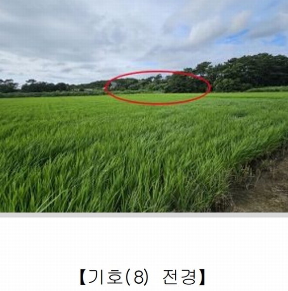 2023타경54059 충청남도 서산시 대산읍 대로리 876-45 농지 경매 이미지
