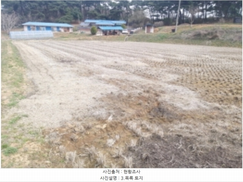 2024타경1250 충청남도 당진시 송악읍 복운리 산21-3 임야 경매 이미지