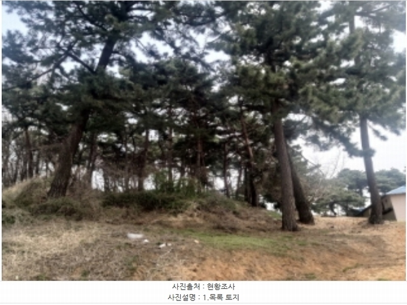2024타경1250 충청남도 당진시 송악읍 복운리 산21-3 임야 경매 이미지