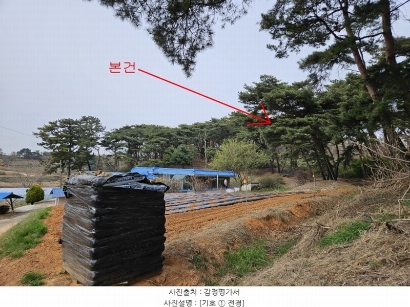 2024타경1250 충청남도 당진시 송악읍 복운리 산21-3 임야 경매 이미지