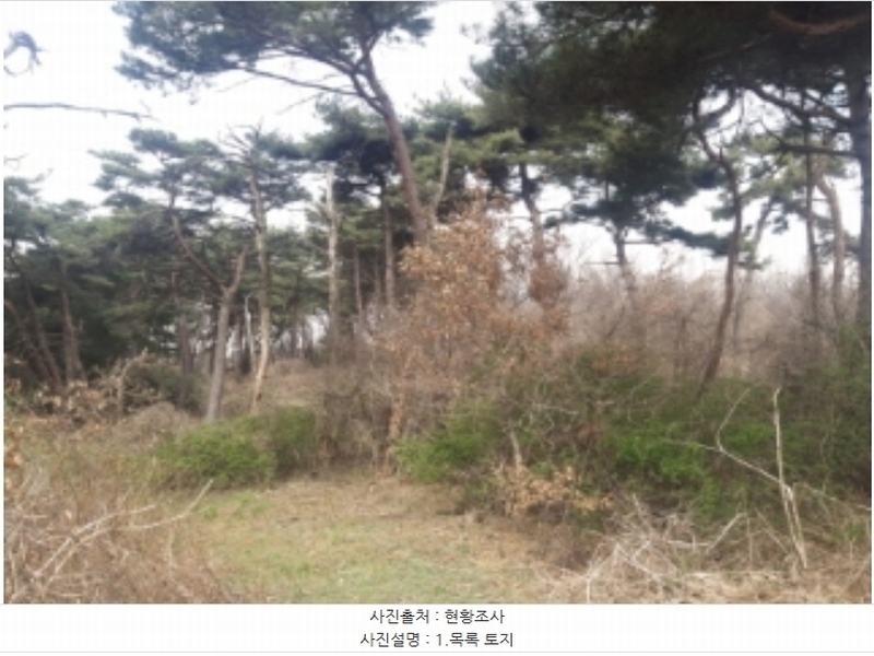 2024타경1250 충청남도 당진시 송악읍 복운리 산21-3 임야 경매 이미지
