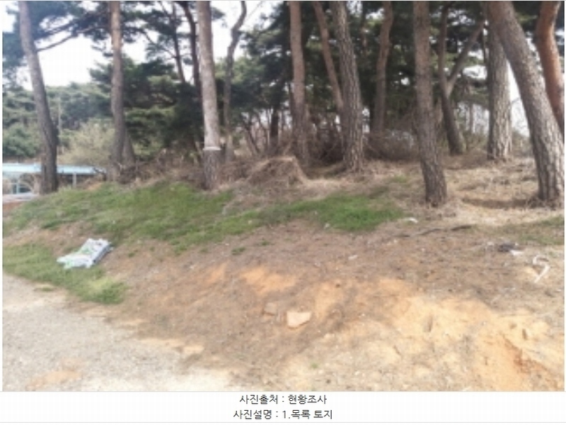 2024타경1250 충청남도 당진시 송악읍 복운리 산21-3 임야 경매 이미지