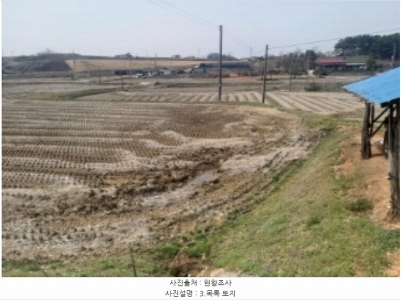 2024타경1250 충청남도 당진시 송악읍 복운리 산21-3 임야 경매 이미지