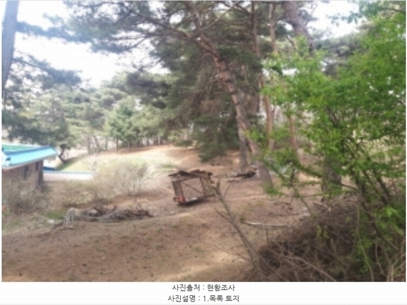 2024타경1250 충청남도 당진시 송악읍 복운리 산21-3 임야 경매 이미지