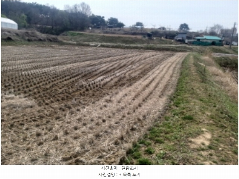 2024타경1250 충청남도 당진시 송악읍 복운리 산21-3 임야 경매 이미지