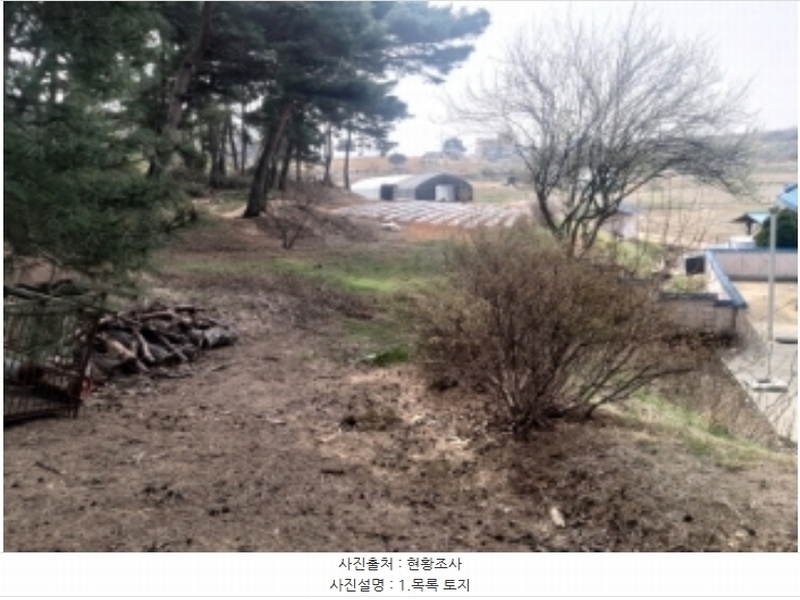 2024타경1250 충청남도 당진시 송악읍 복운리 산21-3 임야 경매 이미지