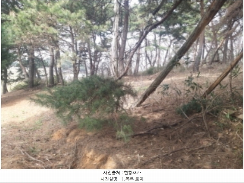 2024타경1250 충청남도 당진시 송악읍 복운리 산21-3 임야 경매 이미지