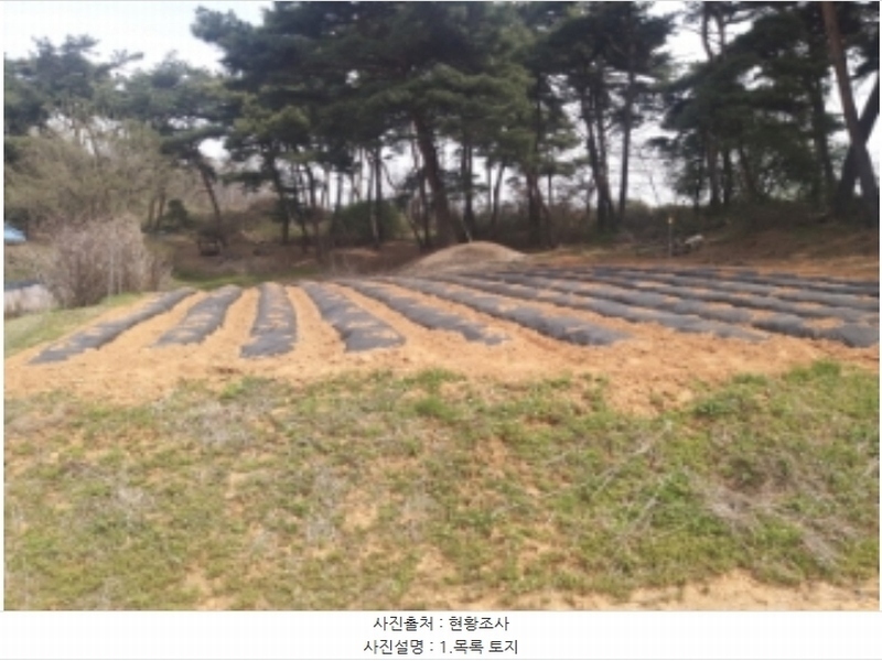 2024타경1250 충청남도 당진시 송악읍 복운리 산21-3 임야 경매 이미지