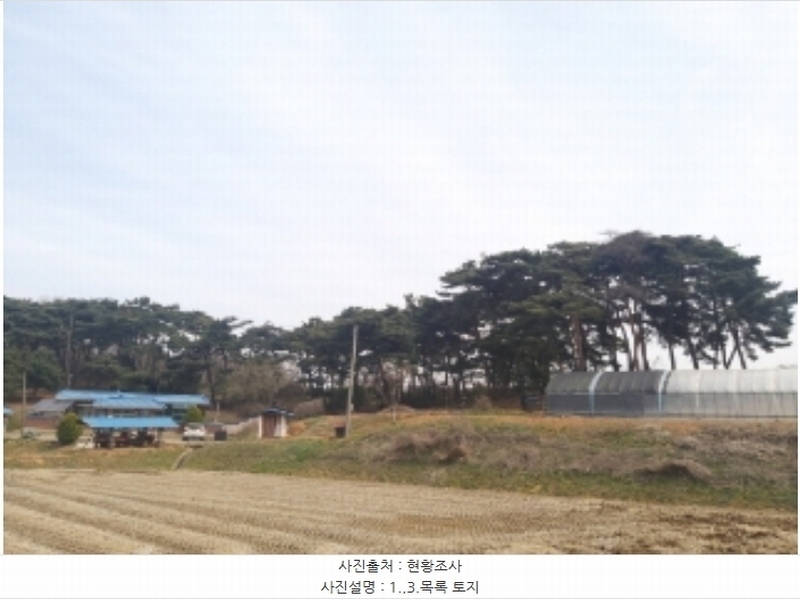 2024타경1250 충청남도 당진시 송악읍 복운리 산21-3 임야 경매 이미지