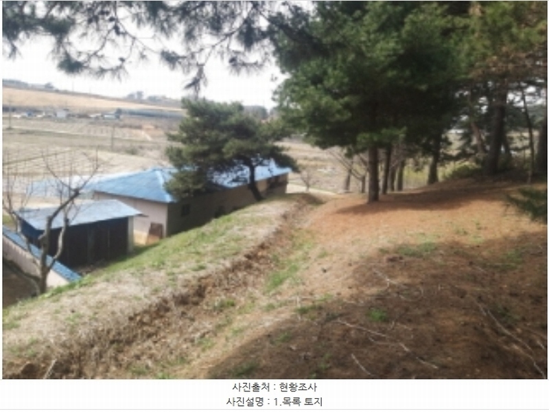 2024타경1250 충청남도 당진시 송악읍 복운리 산21-3 임야 경매 이미지
