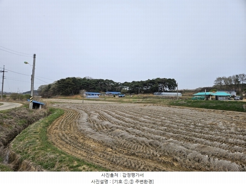 2024타경1250 충청남도 당진시 송악읍 복운리 산21-3 임야 경매 이미지