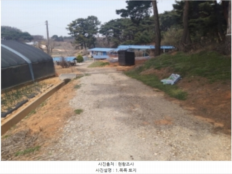2024타경1250 충청남도 당진시 송악읍 복운리 산21-3 임야 경매 이미지
