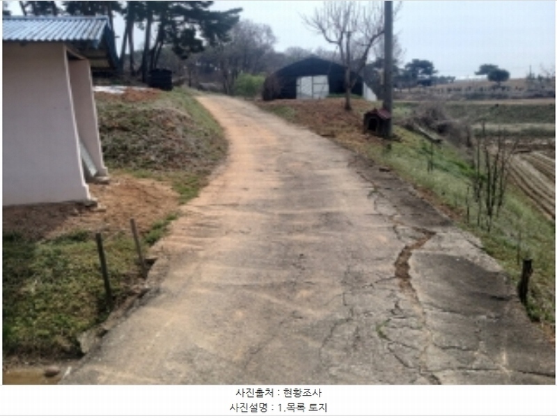2024타경1250 충청남도 당진시 송악읍 복운리 산21-3 임야 경매 이미지
