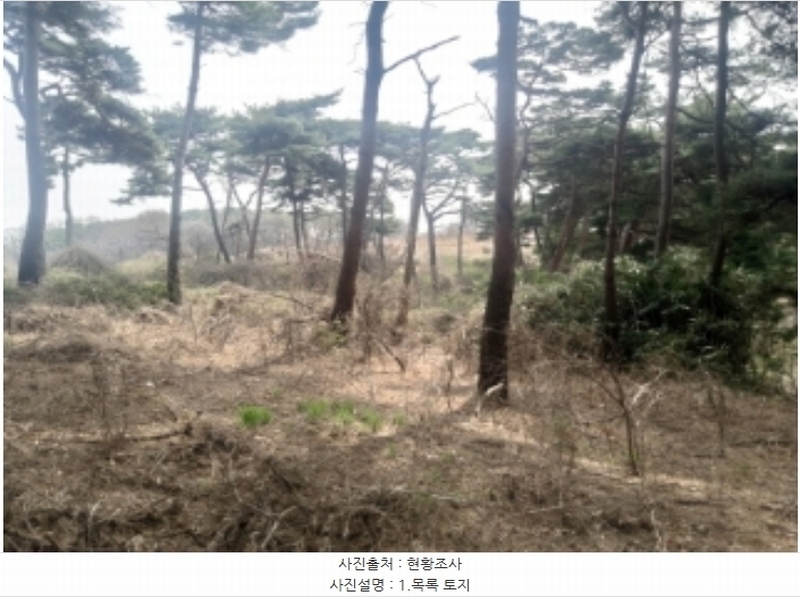 2024타경1250 충청남도 당진시 송악읍 복운리 산21-3 임야 경매 이미지