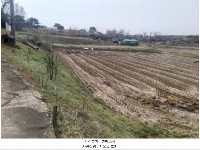 2024타경1250 충청남도 당진시 송악읍 복운리 산21-3 임야 경매 이미지