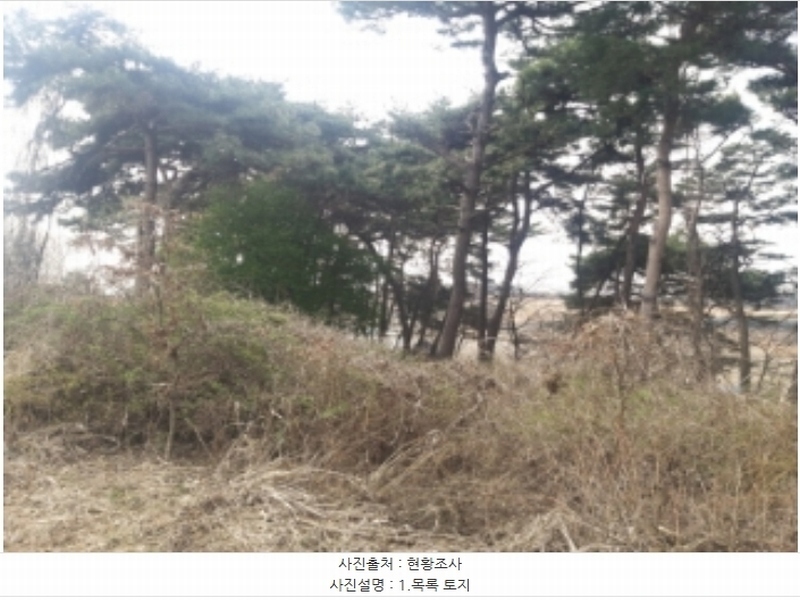 2024타경1250 충청남도 당진시 송악읍 복운리 산21-3 임야 경매 이미지