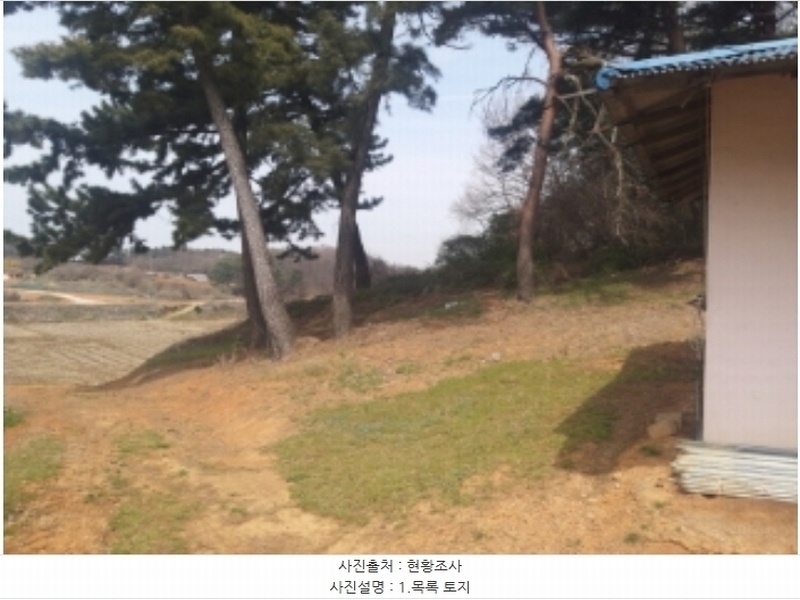 2024타경1250 충청남도 당진시 송악읍 복운리 산21-3 임야 경매 이미지