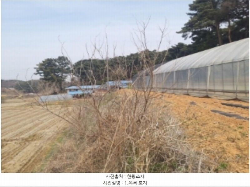 2024타경1250 충청남도 당진시 송악읍 복운리 산21-3 임야 경매 이미지