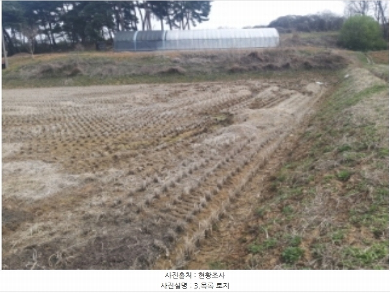 2024타경1250 충청남도 당진시 송악읍 복운리 산21-3 임야 경매 이미지