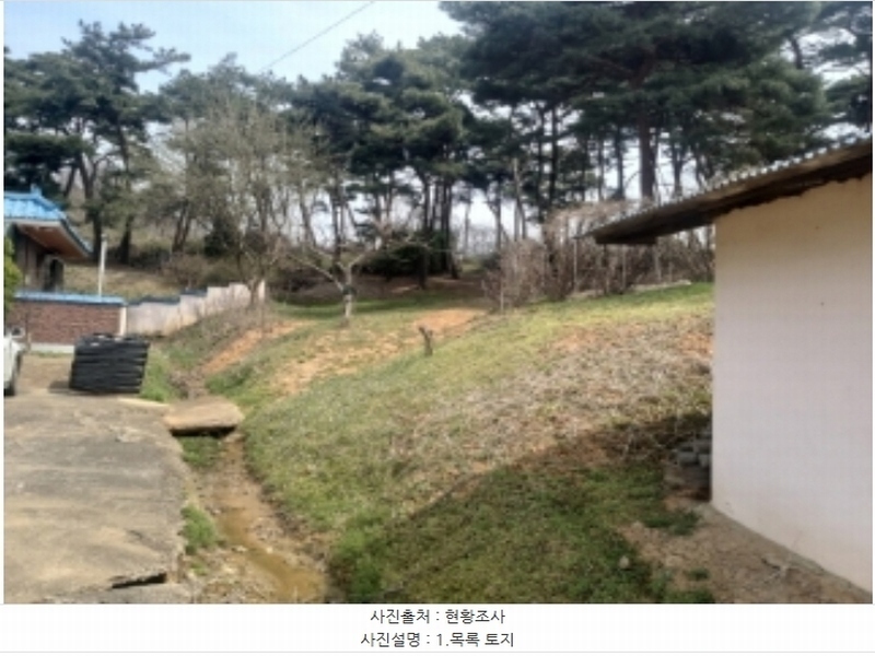 2024타경1250 충청남도 당진시 송악읍 복운리 산21-3 임야 경매 이미지