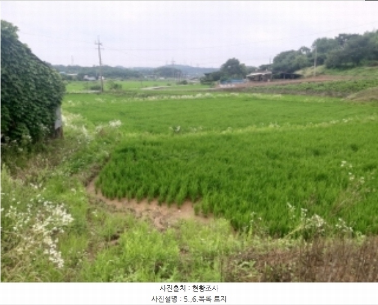2024타경2567 충청남도 당진시 송악읍 석포리 141 농지 경매 이미지