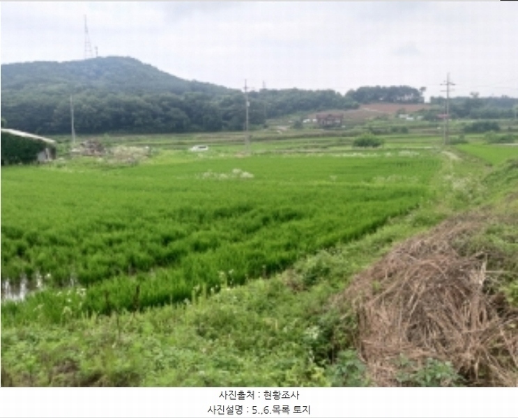 2024타경2567 충청남도 당진시 송악읍 석포리 141 농지 경매 이미지