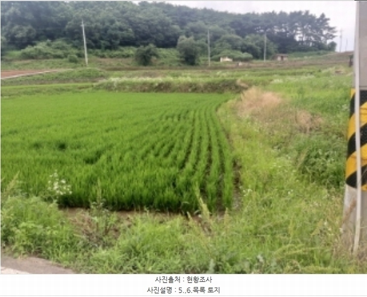 2024타경2567 충청남도 당진시 송악읍 석포리 141 농지 경매 이미지