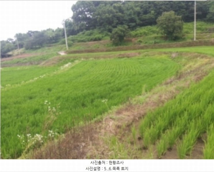 2024타경2567 충청남도 당진시 송악읍 석포리 141 농지 경매 이미지