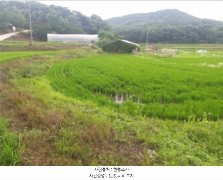 2024타경2567 충청남도 당진시 송악읍 석포리 141 농지 경매 이미지