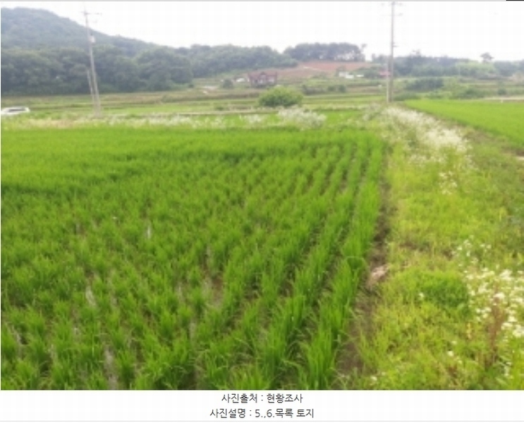 2024타경2567 충청남도 당진시 송악읍 석포리 141 농지 경매 이미지