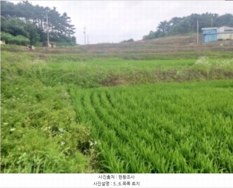 2024타경2567 충청남도 당진시 송악읍 석포리 141 농지 경매 이미지