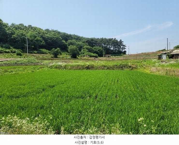 2024타경2567 충청남도 당진시 송악읍 석포리 141 농지 경매 이미지