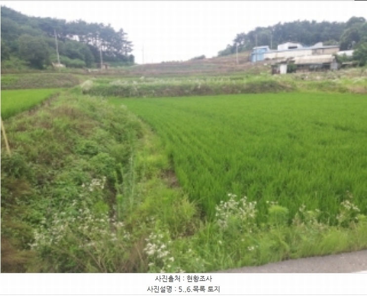 2024타경2567 충청남도 당진시 송악읍 석포리 141 농지 경매 이미지