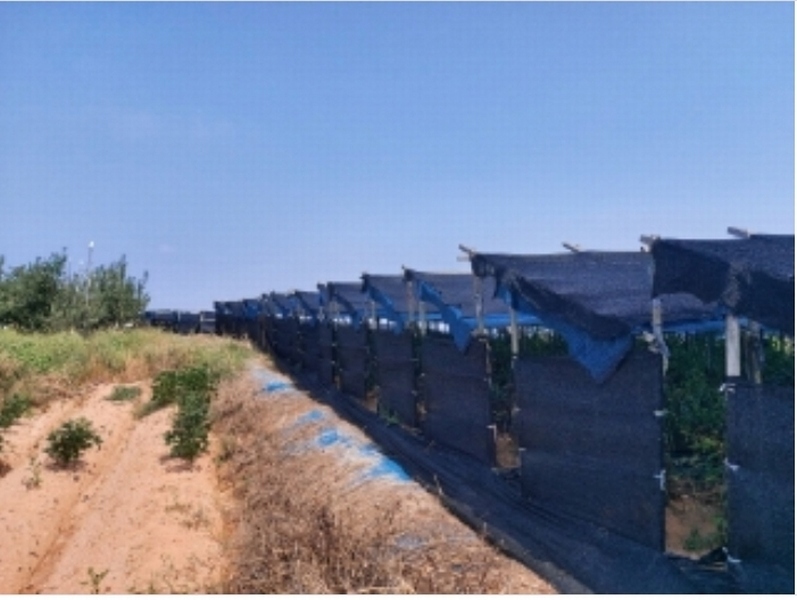 2024타경3614 충청남도 당진시 신평면 상오리 687-10 농가관련시설 경매 이미지