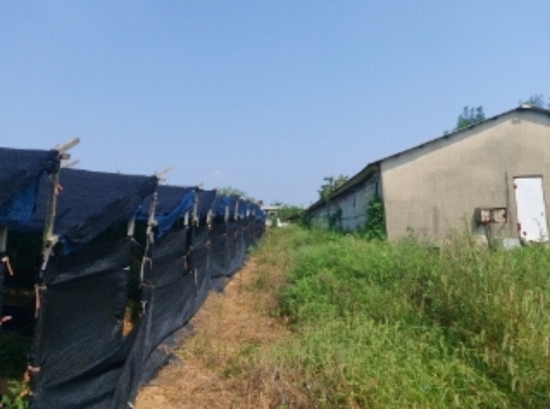 2024타경3614 충청남도 당진시 신평면 상오리 687-10 농가관련시설 경매 이미지