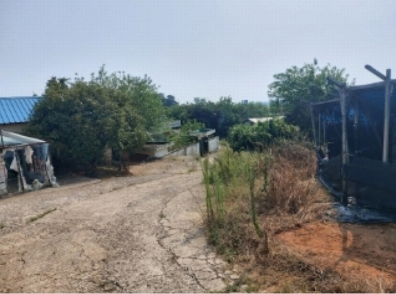 2024타경3614 충청남도 당진시 신평면 상오리 687-10 농가관련시설 경매 이미지