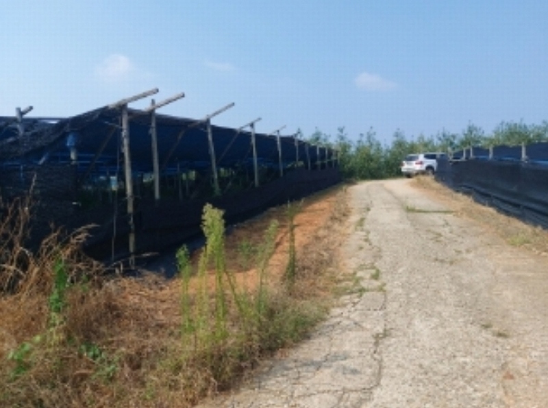 2024타경3614 충청남도 당진시 신평면 상오리 687-10 농가관련시설 경매 이미지