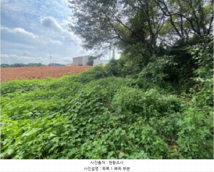 2024타경4280 충청남도 당진시 신평면 금천리 산23-7 농지 경매 이미지