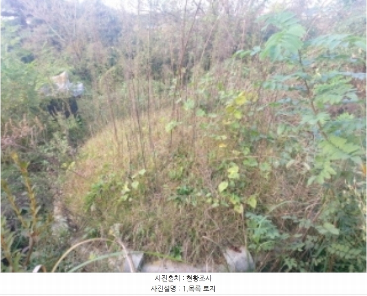 2024타경4280 충청남도 당진시 신평면 금천리 산23-7 농지 경매 이미지