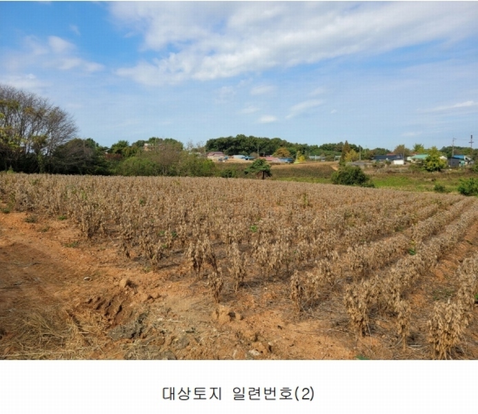 2024타경4280 충청남도 당진시 신평면 금천리 산23-7 농지 경매 이미지