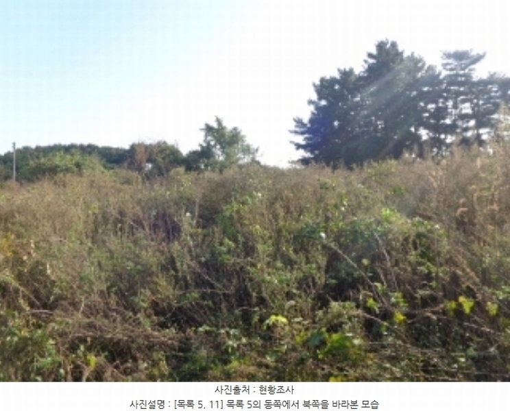 2024타경4464 충청남도 태안군 남면 원청리 2-1 농지 경매 이미지