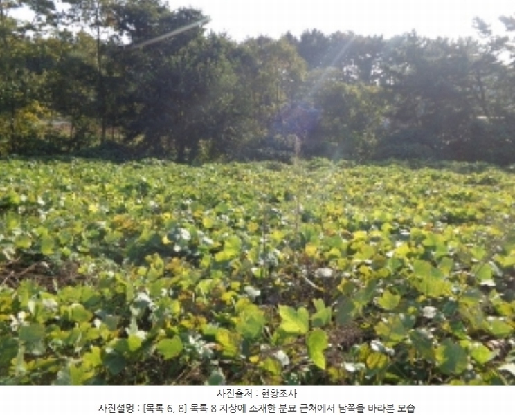 2024타경4464 충청남도 태안군 남면 원청리 2-1 농지 경매 이미지