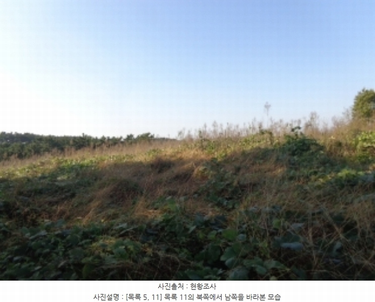 2024타경4464 충청남도 태안군 남면 원청리 2-1 농지 경매 이미지