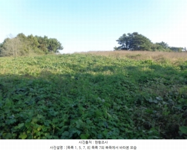 2024타경4464 충청남도 태안군 남면 원청리 2-1 농지 경매 이미지