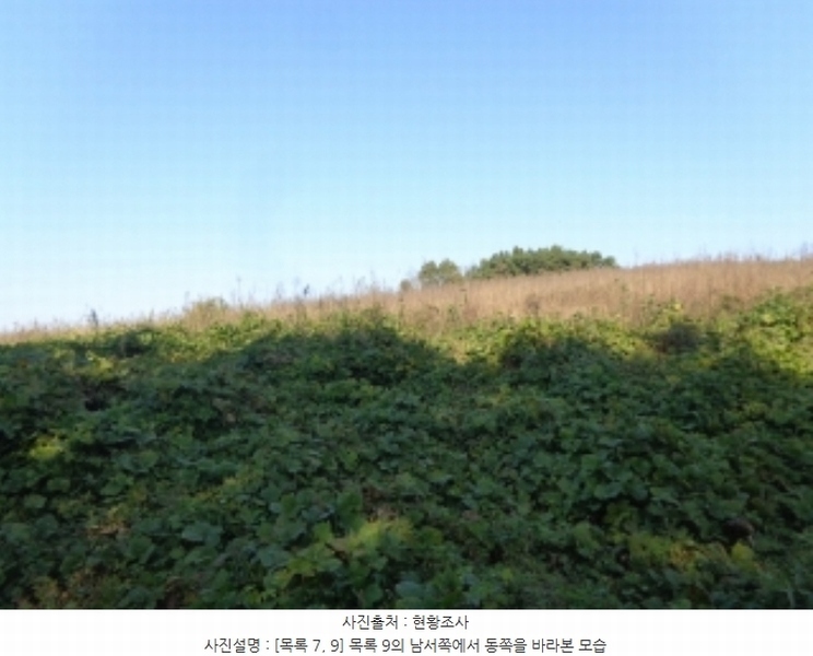 2024타경4464 충청남도 태안군 남면 원청리 2-1 농지 경매 이미지