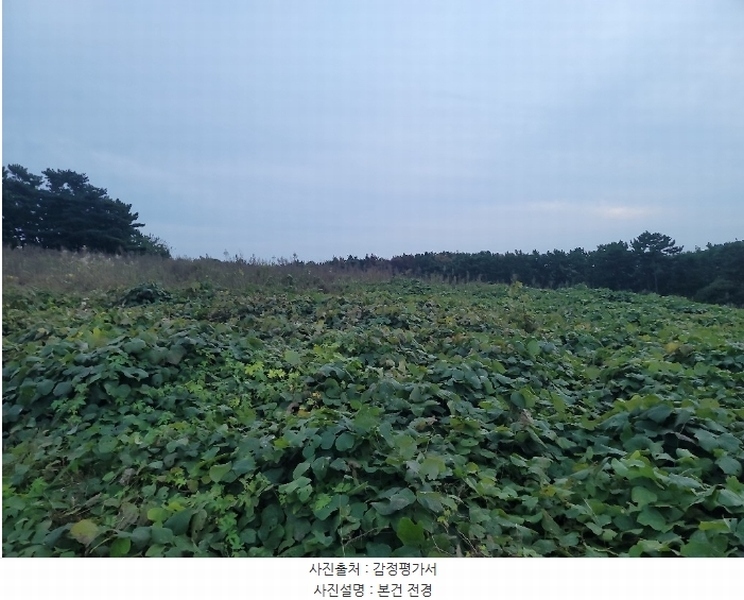 2024타경4464 충청남도 태안군 남면 원청리 2-1 농지 경매 이미지
