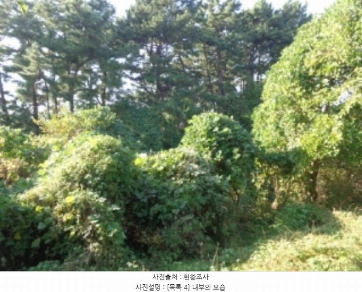 2024타경4464 충청남도 태안군 남면 원청리 2-1 농지 경매 이미지